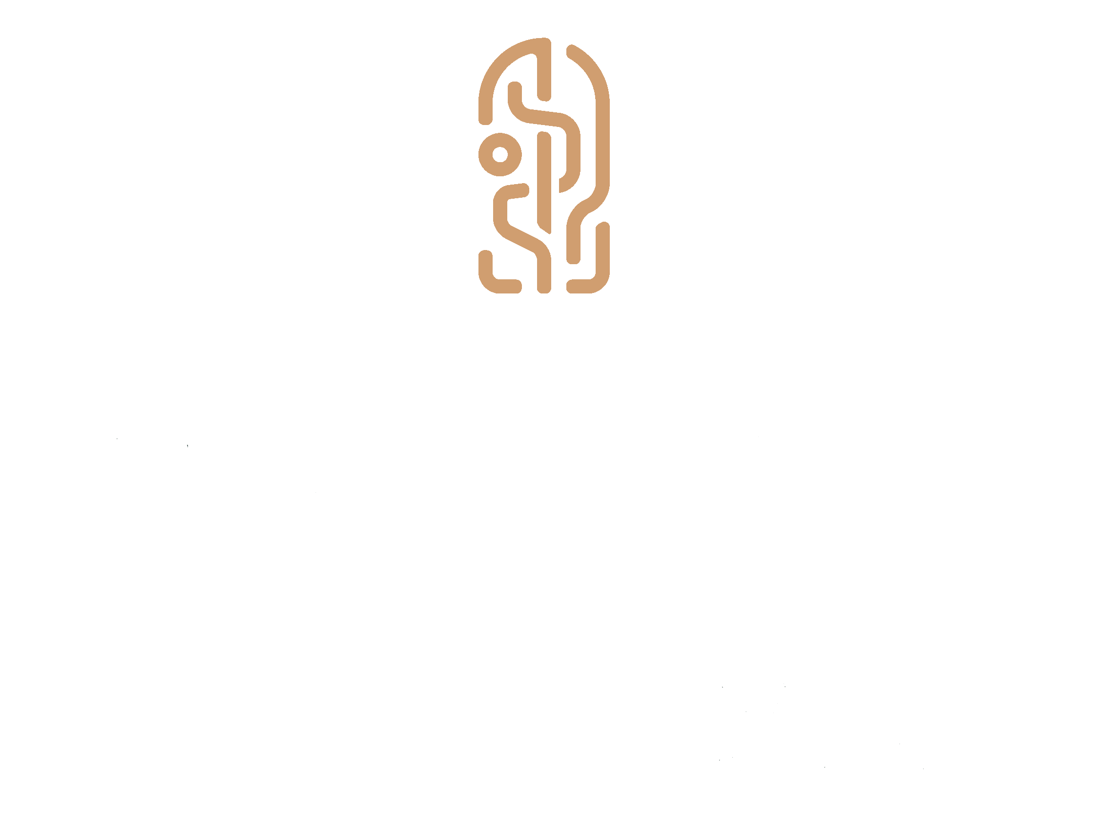 mestizal.mx